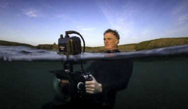 Underwater cameraman Ken O’Sullivan: ‘We found basking sharks in courtship off Clare. We couldn’t find whales, so I said, here’s a few sharks, I’ll have a look at this’