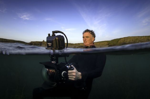 Underwater cameraman Ken O’Sullivan: ‘We found basking sharks in courtship off Clare. We couldn’t find whales, so I said, here’s a few sharks, I’ll have a look at this’