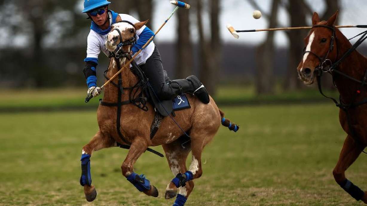 World's first gene-edited horses are shaking up the genteel sport of polo