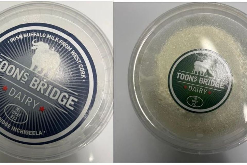 Toons Bridge Dairy Ricotta and Buffalo Ricotta cheeses have been recalled due to listeria