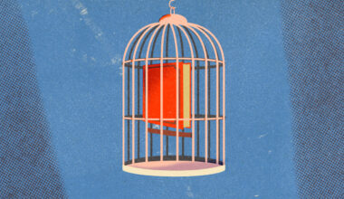 A book trapped in a cage