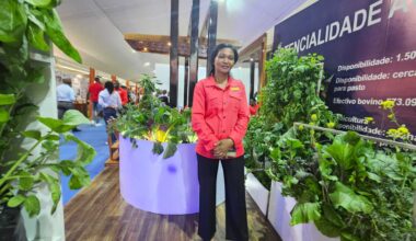 ‘Food, jobs, hope’: Mozambique seeks investment route to economic recovery | Business and Economy News