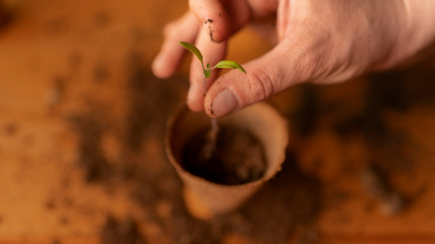 Liming Returns as Climate and Yield Strategy