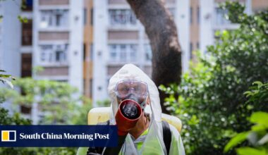 Risk of importing chikungunya into Hong Kong expected to rise: health official