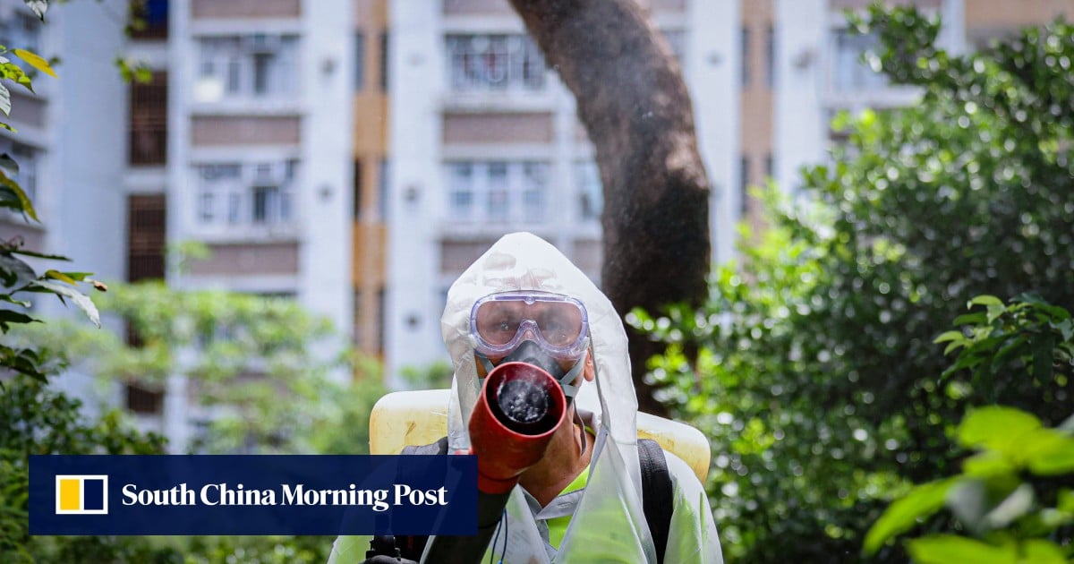Risk of importing chikungunya into Hong Kong expected to rise: health official
