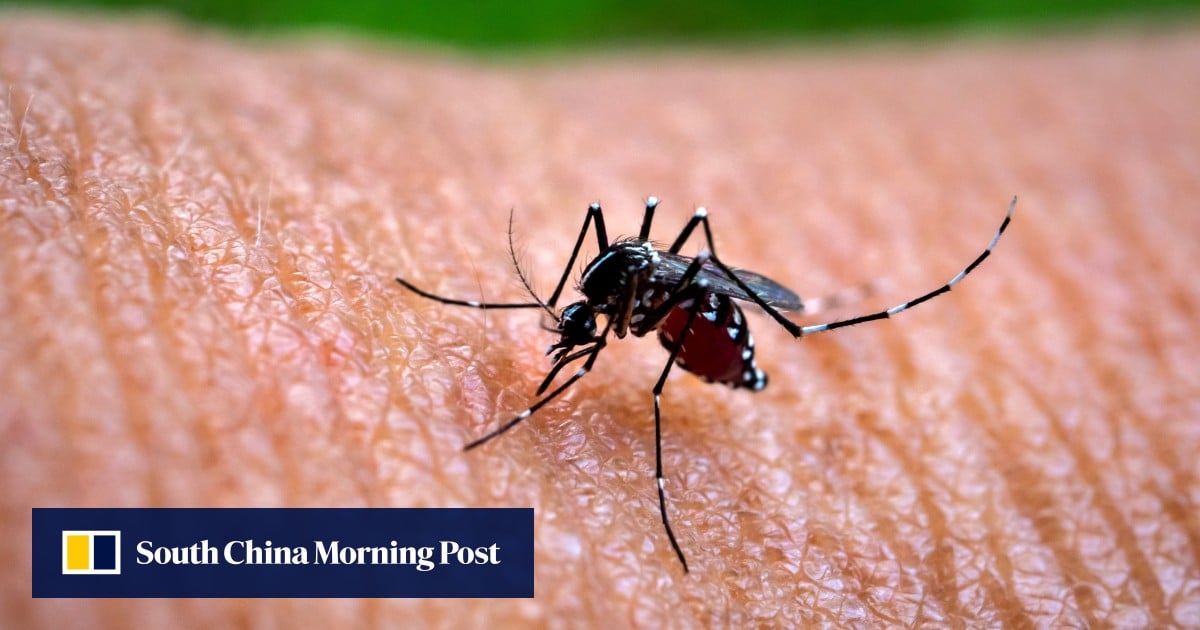 How mosquito-borne viruses chikungunya, dengue and Zika got their names