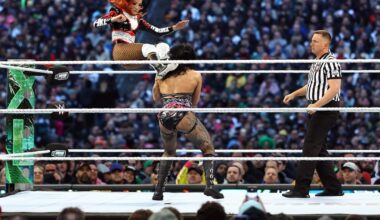 How WWE suplexed thousands of eager Irish kids and even more grown men – The Irish Times