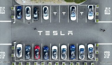 Tesla market share shrinks further in EU