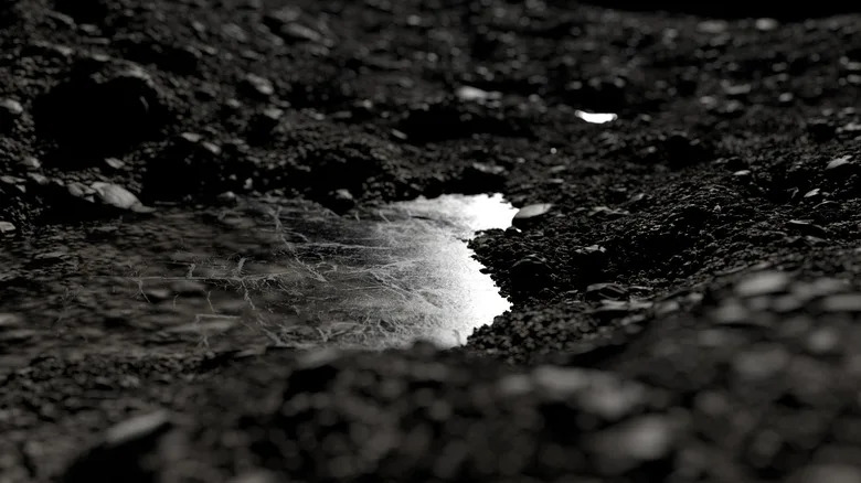 Frozen water puddle