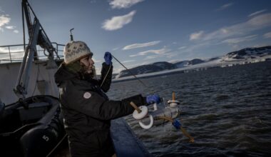 Turkish scientists monitor Arctic ecosystems to track climate change