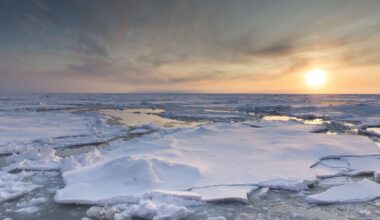 Guest post: Why the recent slowdown in Arctic sea ice loss is only temporary