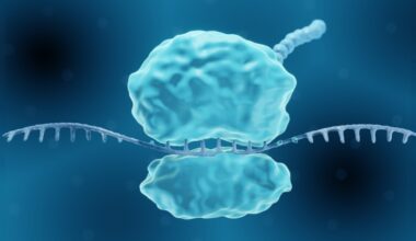 Recreating a Rare Mutation Could Grant Almost Universal Virus Immunity For Days : ScienceAlert