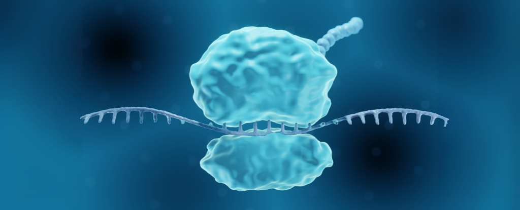 Recreating a Rare Mutation Could Grant Almost Universal Virus Immunity For Days : ScienceAlert