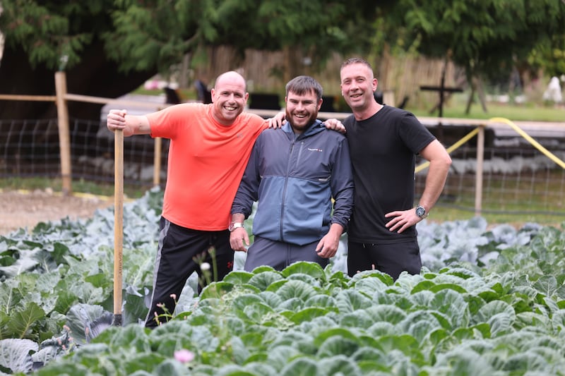 Michael Campbell, Séan Bradbury and John Keenan at work tending cabbage plants at Coolmine Lodge in Blanchardstown. Photograph: Bryan O’Brien/The Irish Times
