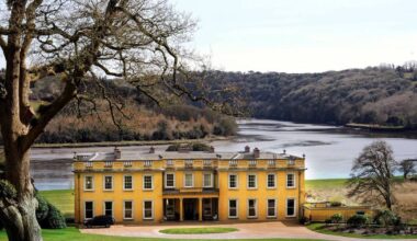 Irish neighbours appeal against billionaire James Dyson’s planned helipad – The Irish Times