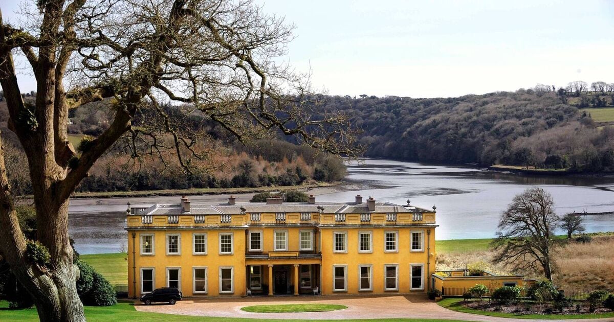 Irish neighbours appeal against billionaire James Dyson’s planned helipad – The Irish Times