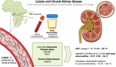 Chronic kidney disease related to Loa loa microfilaremia in a rural area of the Republic of Congo: a population-based cross-sectional study | Infectious Diseases of Poverty
