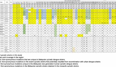 Genomic evidence links human dengue cases with undetermined serotypes to sylvatic lineages | Tropical Medicine and Health