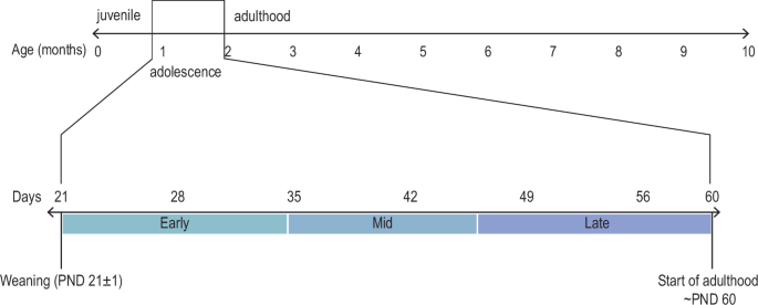 Adolescent nicotine exposure and persistent neurocircuitry changes: unveiling lifelong psychiatric risks