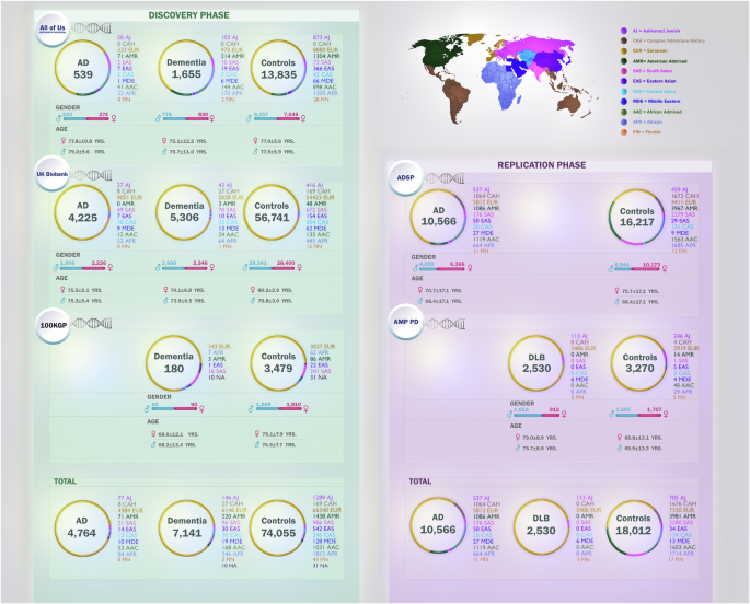 Biobank-scale genetic characterization of Alzheimer’s disease and related dementias across diverse ancestries