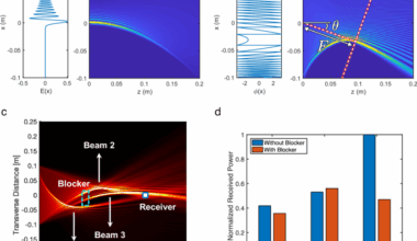A physics-informed Airy beam learning framework for blockage avoidance in sub-terahertz wireless networks