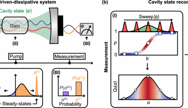 Observing the dynamics of quantum states generated inside nonlinear optical cavities