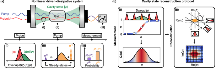 Observing the dynamics of quantum states generated inside nonlinear optical cavities