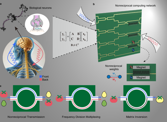 Nonreciprocal surface plasmonic neural network for decoupled bidirectional analogue computing