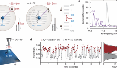 Single-shot readout of the nuclear spin of an on-surface atom