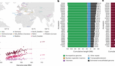 A comparison of 27 Arabidopsis thaliana genomes and the path toward an unbiased characterization of genetic polymorphism