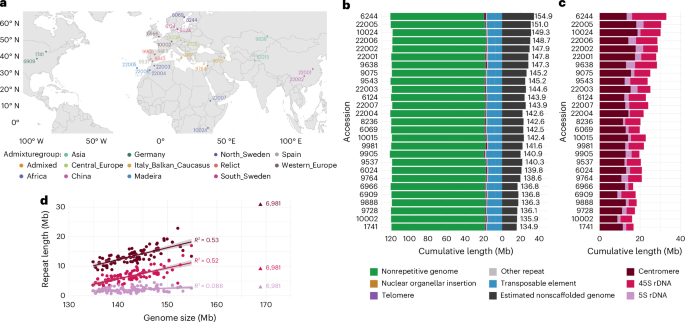 A comparison of 27 Arabidopsis thaliana genomes and the path toward an unbiased characterization of genetic polymorphism