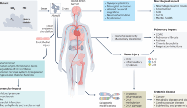 Air pollution interventions for health