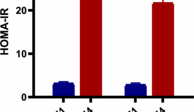 HOMA-IR, an independent predictor of advanced liver fibrosis in metabolic-dysfunction associated fatty liver disease: a cross-sectional study in Egyptian patients