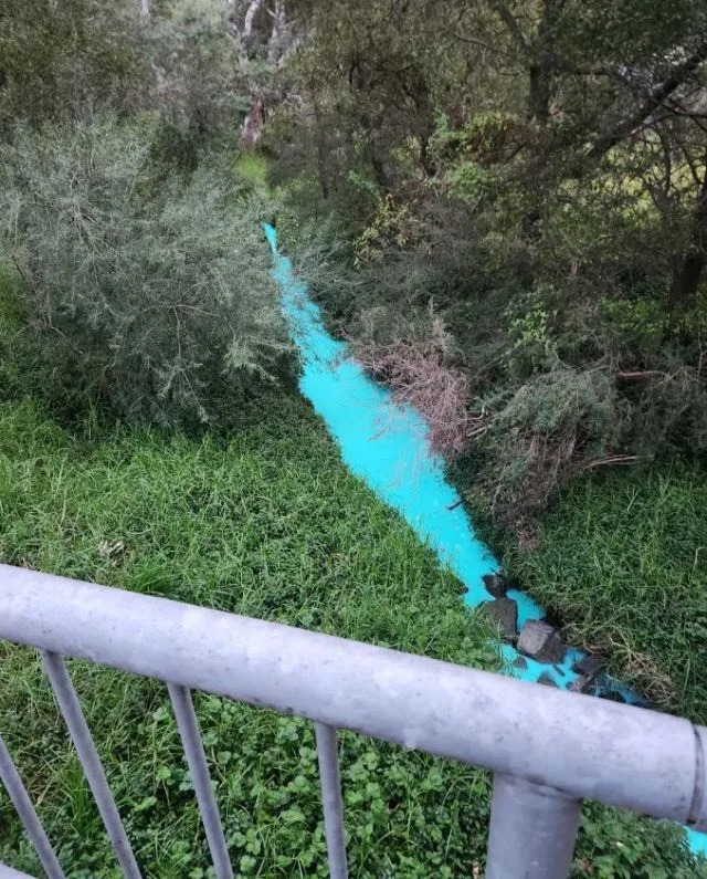 Photo Credit: Reddit