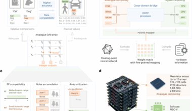 A dual-domain compute-in-memory system for general neural network inference