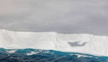 'Catastrophe' warning over world's largest iceberg now visible from space - Weather - News