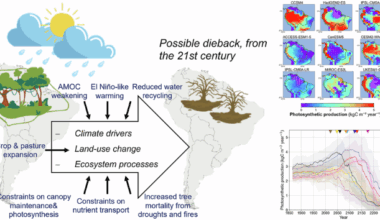 Amazon dieback beyond the 21st century under high-emission scenarios by Earth System models