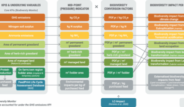 Towards positive net outcomes for biodiversity, and developing safeguards to accompany headline biodiversity indicators