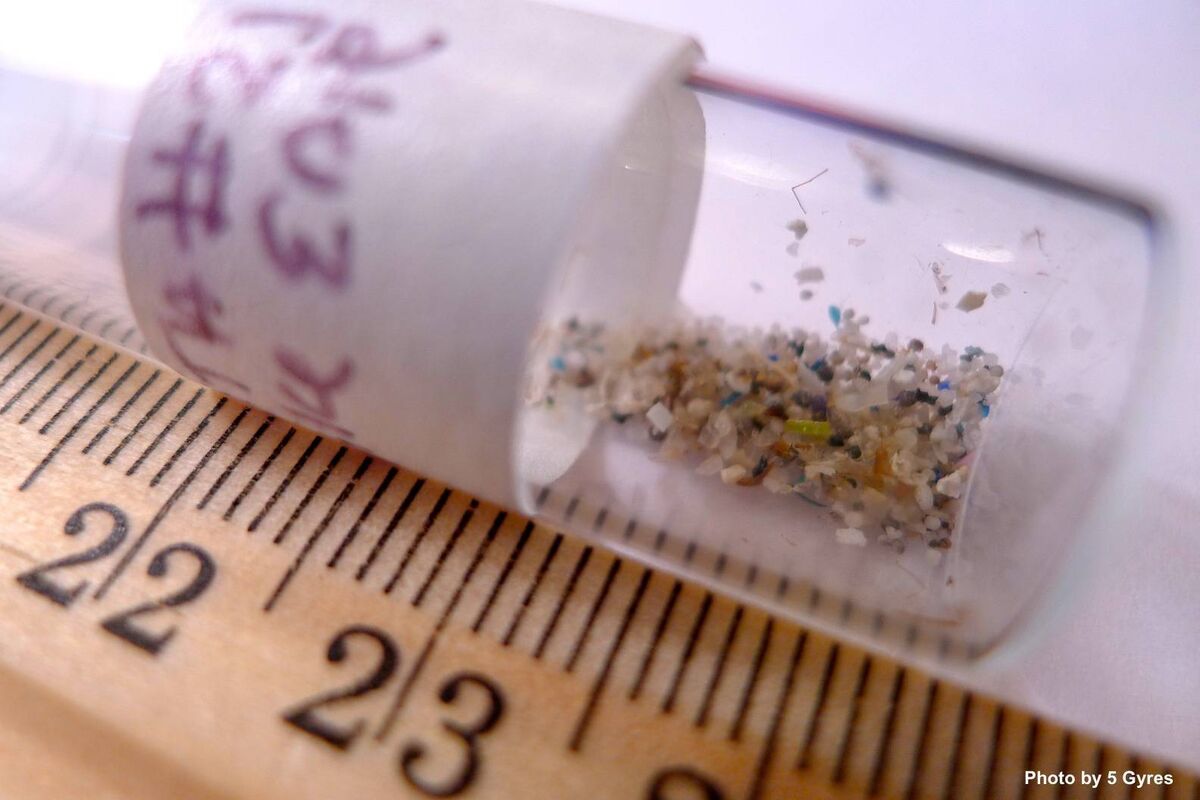 Tiny bits of plastic, known as microplastics, are becoming a massive aquatic problem