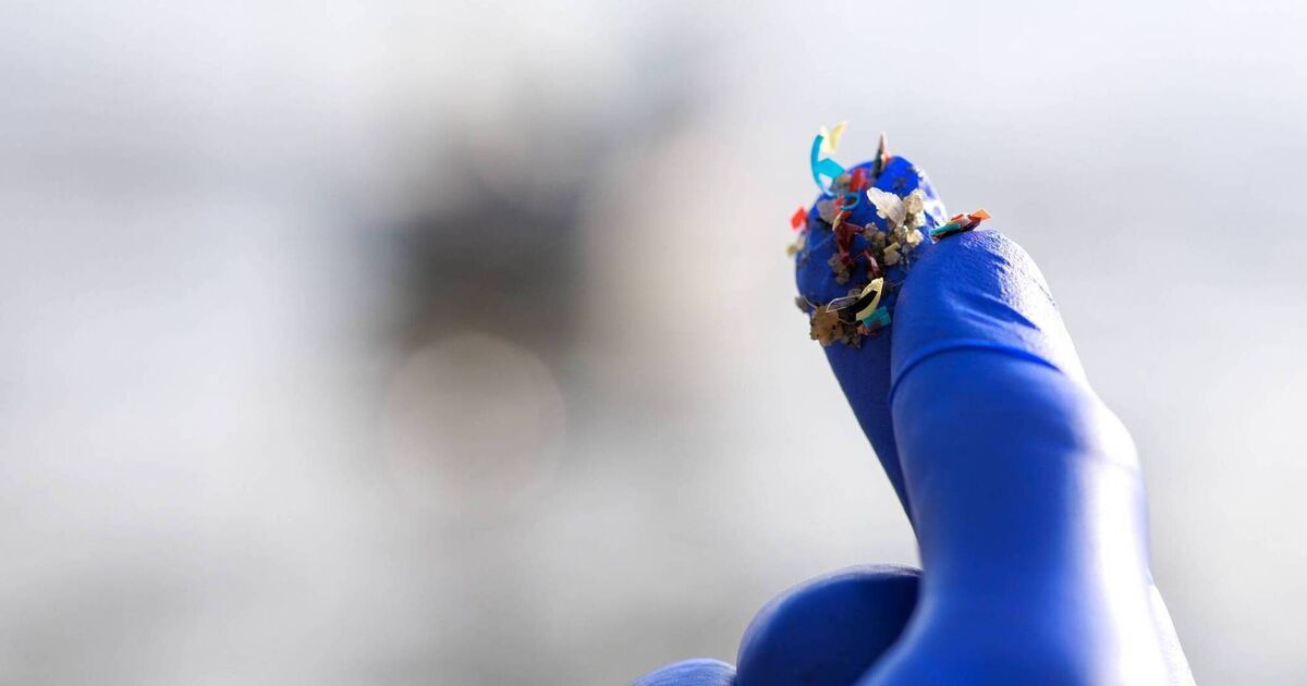 What are nurdles and why are they polluting our oceans?