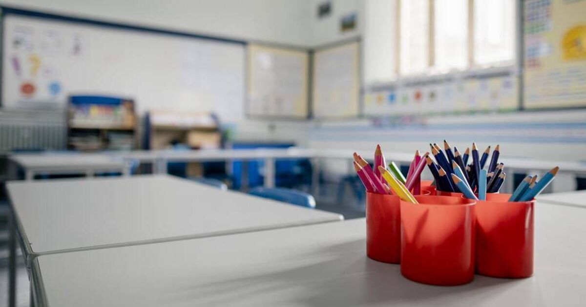 Cork TD's concern over Ireland having largest primary school classes in EU