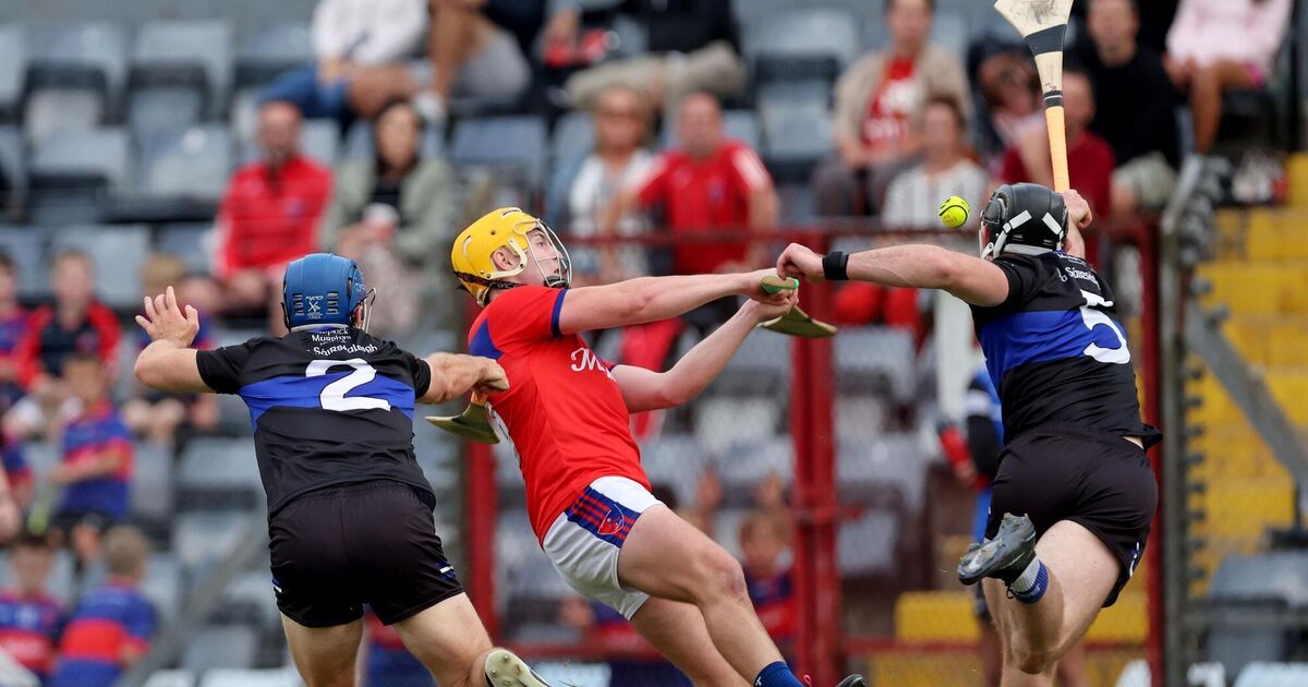 Sars make serious statement with deadly dismantling of neighbours