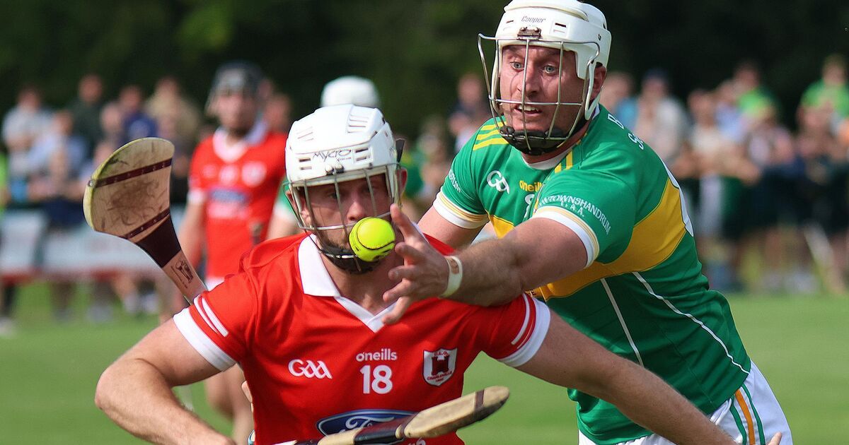 Charleville have too much class for Newtown in derby renewal