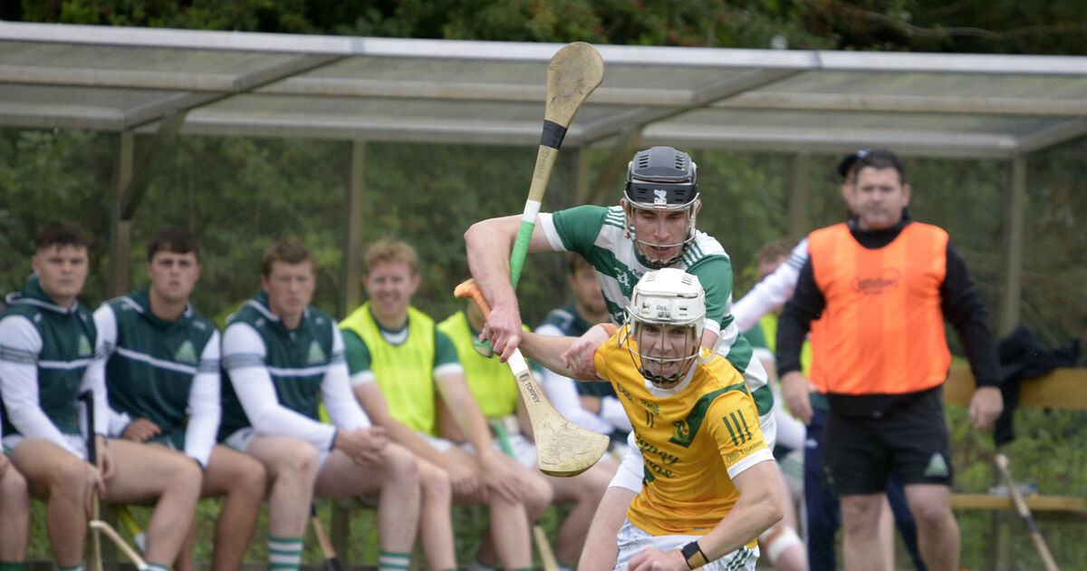 Dungourney grab second PIHC win as they hit Valley Rovers for three goals