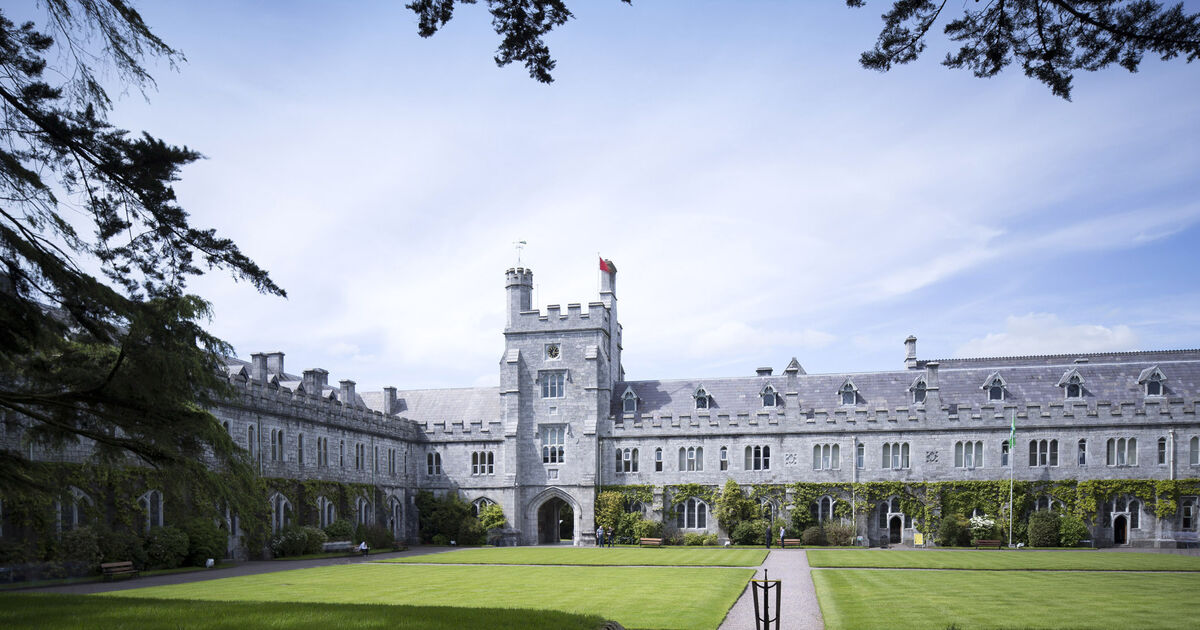 UCC's €114,000 spend on 'brand refresh' project raises concerns