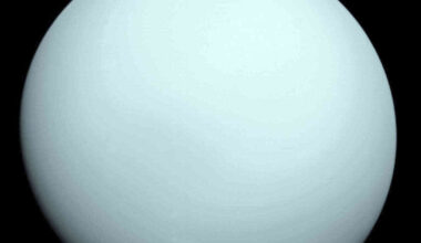 Nasa’s Webb telescope finds a new tiny moon around Uranus