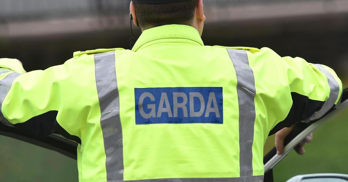 Man arrested after threatening public with knife in Limerick town
