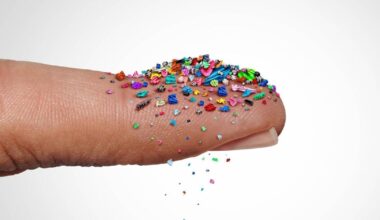 Microplastics: Small particles, big problems
