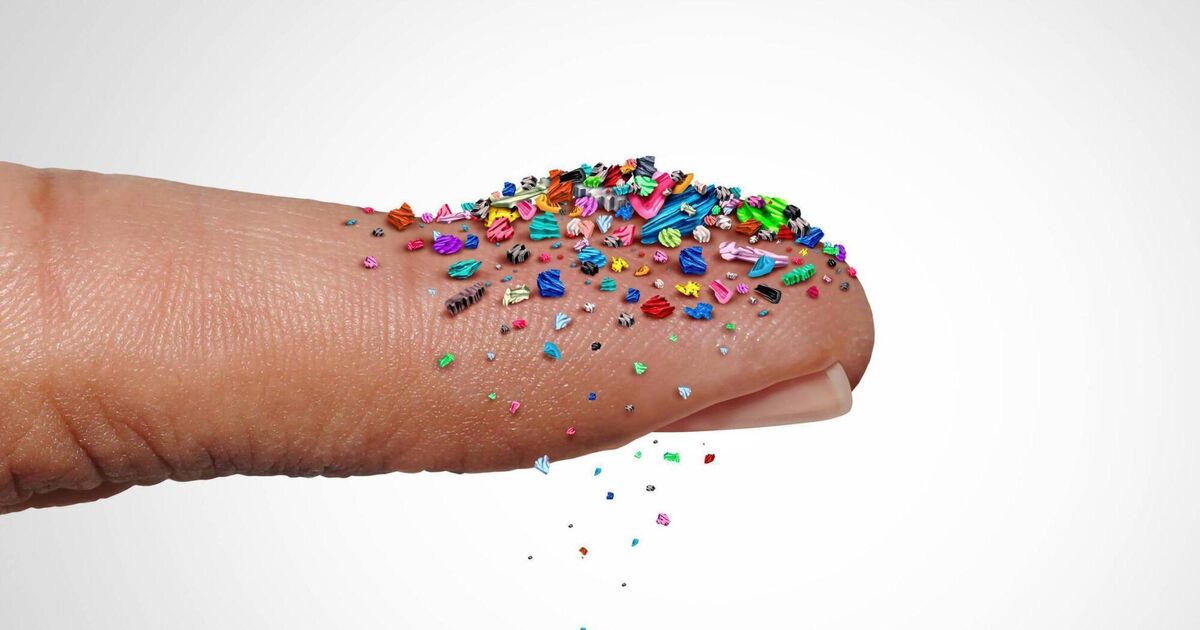 Microplastics: Small particles, big problems