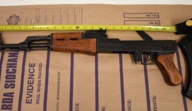 Two men arrested as gardaí seize firearms from car stopped in Charleville